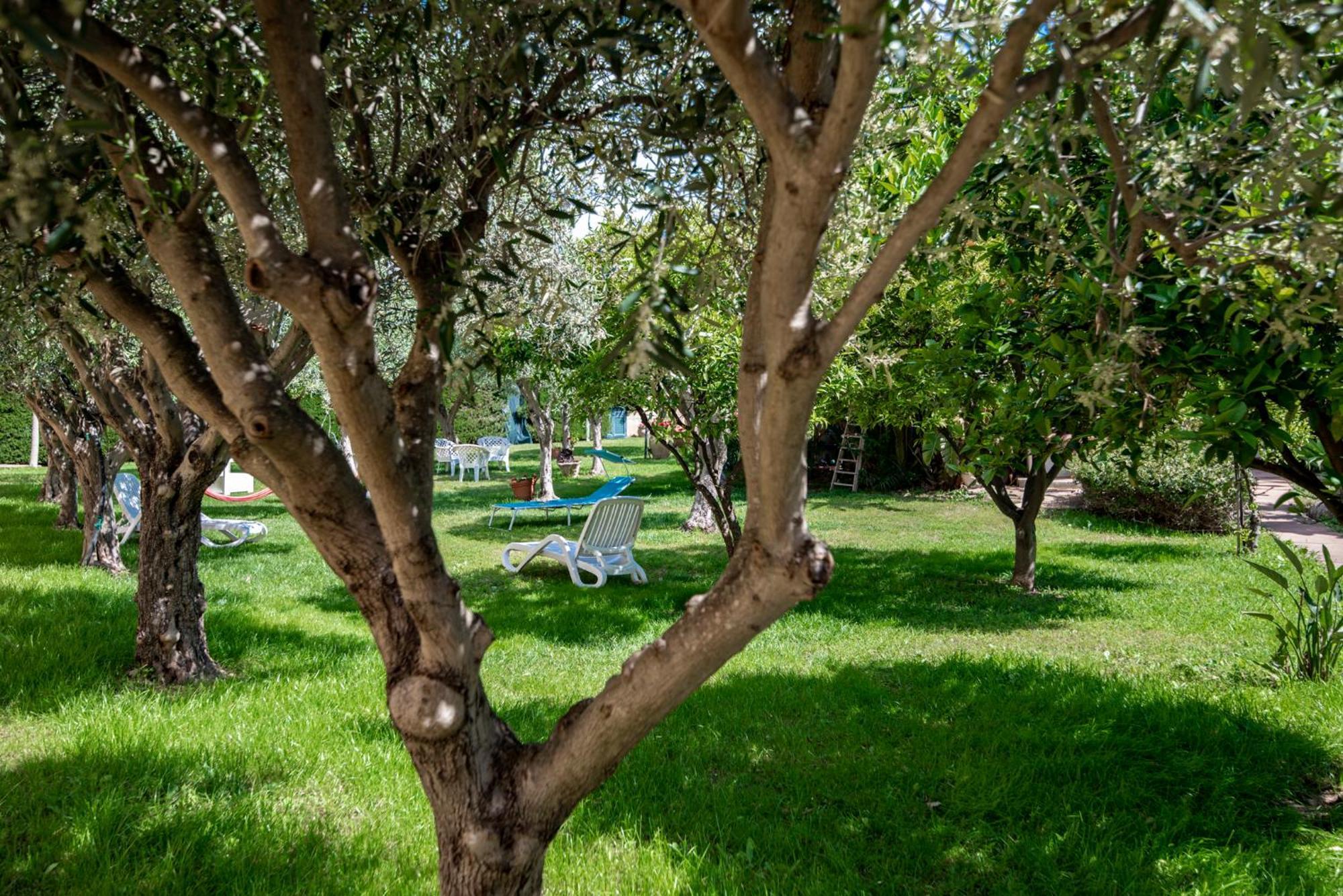Villa Del Papiro Charme Apartments Avola Exteriör bild
